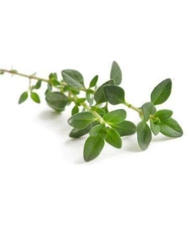 Large Herbal Package for Vaporizers & Aromatherapy - 235g of Scented Herbs & Incense - Buy Online on GoSupps.com