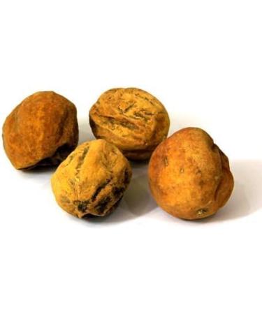 NACHT Neeraj - Indrayan Phal Powder|Citrullus colocynthis |Bitter Apple Root |Makal -100 Gm - Buy Online on GoSupps.com