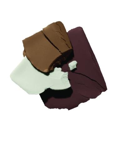 Buy Wet n Wild Ultimate Brow Kit - Vegan Ash Brown Eyebrow Set for Perfect Shape & Definition | International Shipping Available - Buy Online on GoSupps.com