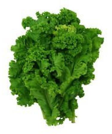 700mg Organic Southern Giant arricciato Senape Semi di Verdure 500ct Zesty