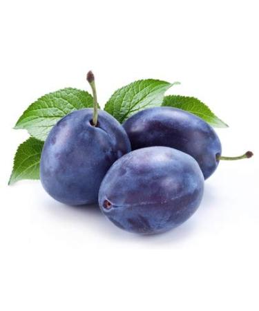 ISOSTEST -drops aroma i aromas for athletes I aromatization of drinks instant and dairy products i plum i 100 ml - made in germany plum - ripe sweet 100 ml