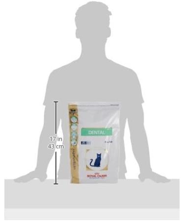 ROYAL CANIN Veterinary Diet Dry Cat Food Dental 3 Kg Dental 3 kg (Pack of 1) - Buy Online on GoSupps.com