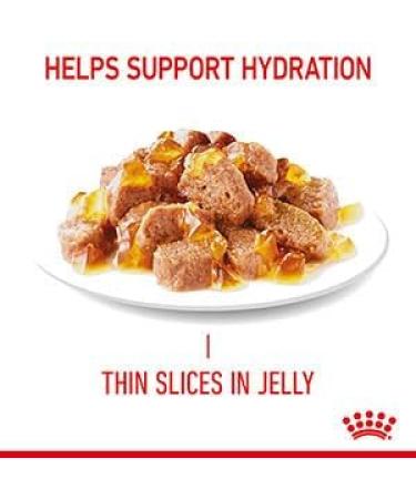 ROYAL CANIN Urinary Care In Jelly Adult Wet Cat Food (Pack of 24) - Buy Online on GoSupps.com