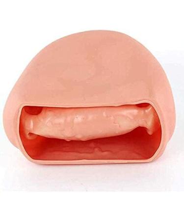 Dental Care Model for Kids | Tooth Brushing Practice & Teaching Aid - International Shipping - Buy Online on GoSupps.com