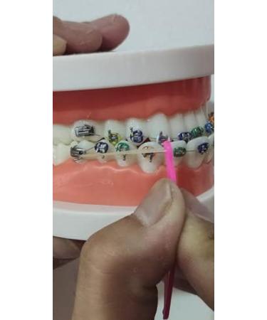 3/16 inch Orthodontic Elastic Rubber Bands 100 Pack Natural Heavy Force + Free Placer | Cayenas - Buy Online on GoSupps.com