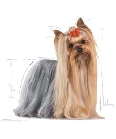 Royal Canin C-08600 SN Yorkshire 28-500 GR - Buy Online on GoSupps.com