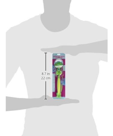John Hinde Croc Boy Blank Holder & Brush Set - Buy Online on GoSupps.com