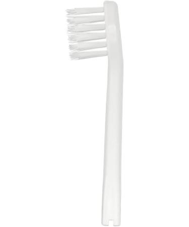 Ionpa Compact Replacement Brush Head - White 2 Pack | Ionic Kiss You Hygiene - Buy Online on GoSupps.com