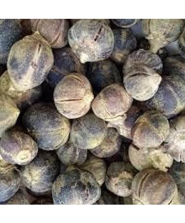 Snot Apple Goron Tula Miracle Fruit Azanza Garckeana Organic Kayamata Sweet Fruit - About 15 - 18 Small Seeds - 105g - Buy Online on GoSupps.com