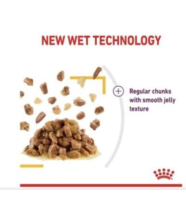 Royal Canin Sensory Taste in Jelly Wet Cat Food 85g (Pack of 48) - Buy Online on GoSupps.com