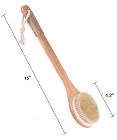 Chikoni Dry Bath Body Brush Back Scrubber with Long Wooden Handle - 100% Natural Bristles for Exfoliation, Detox, Cellulite, and Blood Circulation - Health-Boosting Body Massager - Buy Online on GoSupps.com