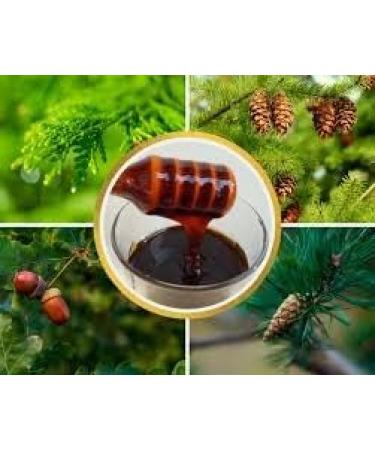 Raw Forest Honey 3kg - Buy Online on GoSupps.com