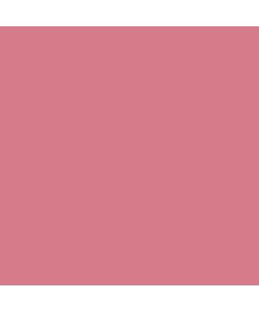 Palladio Lip Stain - Hydrating and Waterproof Matte Color for Long-lasting All Day Wear, Pinky - 1 Count - Buy Online on GoSupps.com