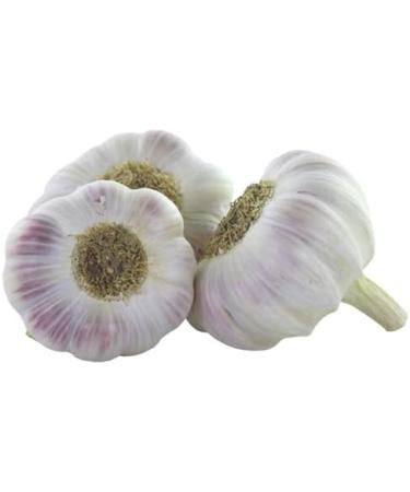 Jemangefrancais Pink Garlic Bulk 400 g - Buy Online on GoSupps.com