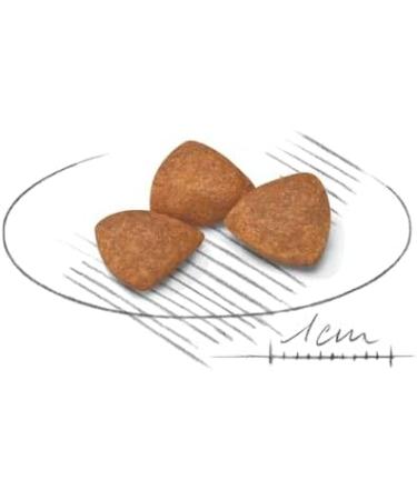 Royal Canin X-Small Ageing 12+ Very Small Breed Senior Dogs | Pack of 4 | 4 x 500 g | Complete Food for Dogs | for Very Small Breed Dogs in the Second Half of Their Life - Buy Online on GoSupps.com
