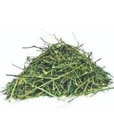  Neel Ayurvedics Neel Ayurvedics Kariyatu | Chirayata | Kalmegh Powder - 300 GM - Buy Online on GoSupps.com