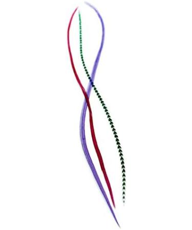 Queen Real Feather Hair Extensions - Set of 3 Feathers - Buy Online on GoSupps.com