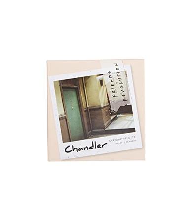 Buy MakeUp Revolution Friends Chandler Eyeshadow Palette - 1 Pack | Shop Internationally - Buy Online on GoSupps.com
