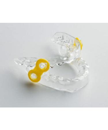 Anti-Snore Appliance Replacement Straps - 16mm Blue - Buy Online on GoSupps.com