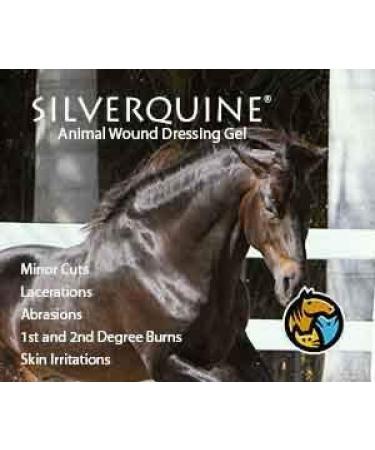 Silverquine Advanced Active Hydrogel Wound Care for Pets - Fast Healing & Protection from Cuts, Burns, and Irritation - Vet Recommended - 1.5oz - Buy Online on GoSupps.com