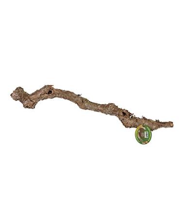 ProRep Cork Oak Branch 40-60 cm