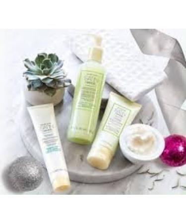 Marykay Silk Hands Set Satin Hands White Tea & Citrus