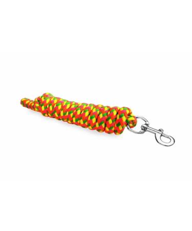 Leading rope horse panic hooks or carabiner hooks start soft 2m knitting horse guide knitting horse carabiner tiebindrick horse horse trick (neon green/neonorange/neon pink carabiner hook) neon -green/neonorange/neonroSa snap
