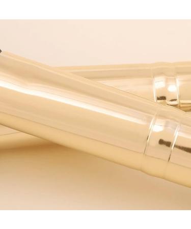 Buy Portable Makeup Brush Set - 5 Eye Shadow & Lip Brushes | Aluminum Tube | Perfect Beauty Tools for Flawless Looks - Buy Online on GoSupps.com