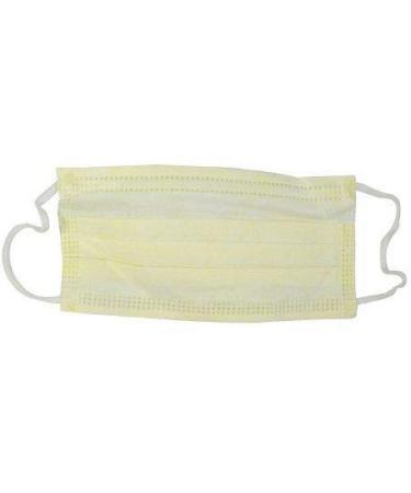 Cardinal Health AT70021 Secure-Gard Procedure Mask with Earloop - Pack of 500 - Buy Online on GoSupps.com