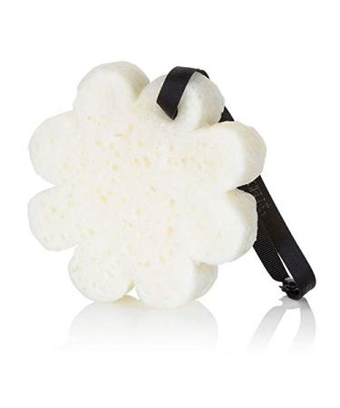 Spongelle Flower Boxed Bath Mitts Scented with French Lavender - 14+ Uses - Buy Online on GoSupps.com