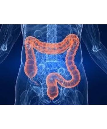 The One Minute Miracle Oxy-Colon Cleanse Vegan Colon Cleanser - 120 Vegatarian Capsules. - Buy Online on GoSupps.com