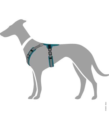 HUNTER Maldon Harness XS-S Petrol/Grey - Premium Dog Harness for Comfortable International Shipping - Buy Online on GoSupps.com