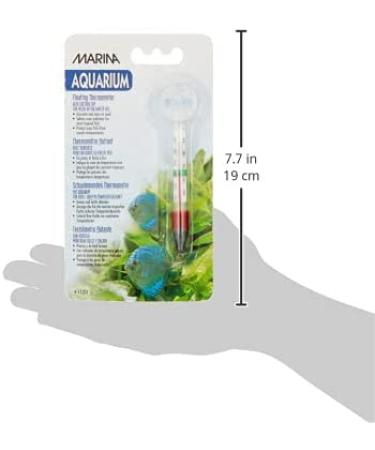 Marina Floating Thermometer - Accurate Water Temperature Reader with Suction Cup - Buy Online on GoSupps.com