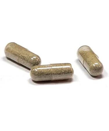 Vegan Kelp Capsules - Natural Iodine Supplement (90 ct) | Non-GMO & Gluten-Free - Buy Online on GoSupps.com