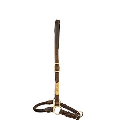 Kentucky Grooming Halter - Size Full WB brown