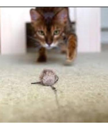 Purrs Mouse attachment- Fits PurrSuit Frenzy & DaBird wand Cat Toys - Buy Online on GoSupps.com