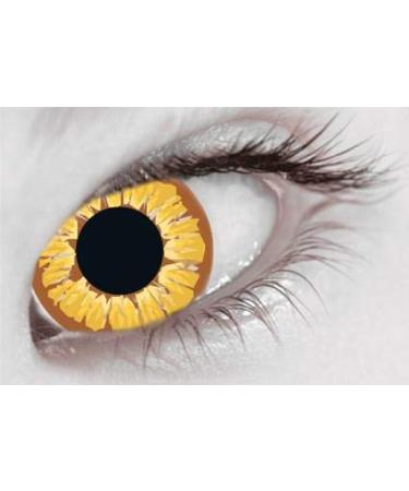 Golden Vampire Contact Lens 1 Day Use Only