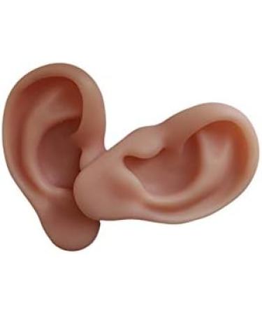 Silicone Ear Models Soft Silicone Artificial Ear Model for Ear Picking Practice Used for Acupuncture Practice Training Headset Display Props(1 Pair) - Buy Online on GoSupps.com