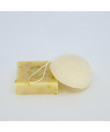 KONJAC Workshop Honeysuckle Sponge - Buy Online on GoSupps.com