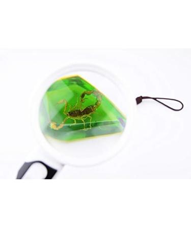 LED High-Definition Magnifying Glass 20 Times Old Reading 100mm Handheld Children's Magnifying Glass with Light Mirror Good Times - Buy Online on GoSupps.com