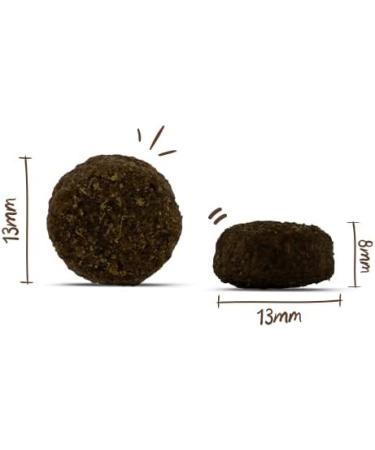 Bosch My Friend + Dog Junior & Active Dry Food for Young and Active Dogs 1 x 12 kg - Buy Online on GoSupps.com
