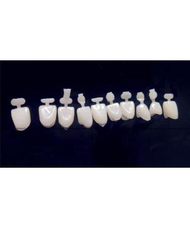 Doc.Royal Temporary Crown Veneers for Anterior Front Teeth - 1 Box | Shop Now - Buy Online on GoSupps.com