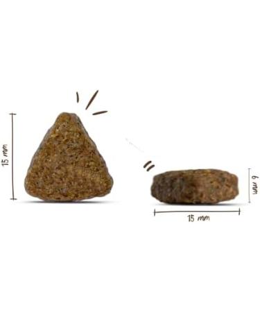 bosch HPC BIO | Adult Chicken and Apple | Dry food for adult dogs of all breeds | 100% agricultural raw materials from controlled organic farming | 1 x 1 kg - Buy Online on GoSupps.com