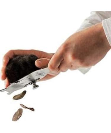 Lord Truffle | Acacia Honey with Fresh Black Truffle 120g Gourmet Acacia Honey Sweet and Original Taste 100% Italian Quality - Buy Online on GoSupps.com