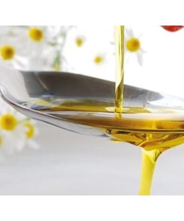  lm hle Kleeschulte Moritz Organic Cold Pressed Rapeseed Oil 2x 500ml - Buy Online on GoSupps.com