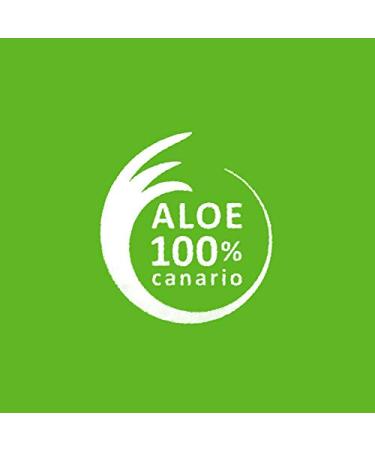 Buy BURI 4X 300ml Tabaibaloe Aloe Vera Premium Cream | Hydrating Face & Body Cream for All Skin Types - International Shipping Available - Buy Online on GoSupps.com