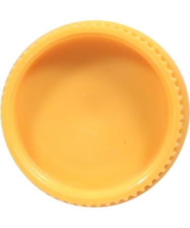 Burt's Bees Moisturizing Lip Balm Vanilla Bean 0.15 Ounce Vanilla Bean 0.15 Ounce (Pack of 1) - Buy Online on GoSupps.com