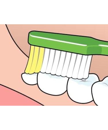 TEPE Nova Medium Toothbrush for Teenagers & Adults - Ergonomic Non-Slip Handle | 1 Pack - Buy Online on GoSupps.com