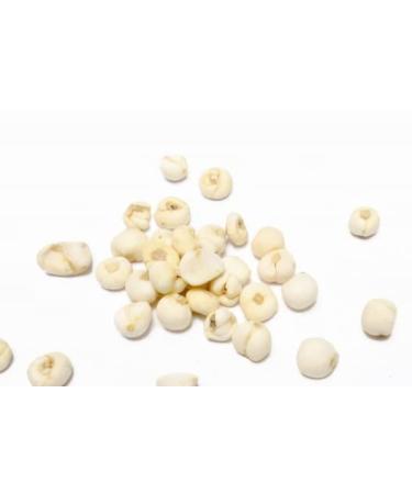 Fritillary Bulb Fritillaria Cirrhosa Chuan Bei Mu ( )100g Vegan Natural Sifted Clean Fresh