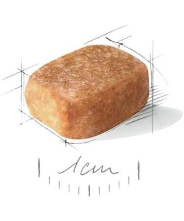 Royal Canin Chihuahua Adult | Pack of 4 | 4 x 500 g | Dry food for Adult Chihuahuas | to Support stool quality and dental health | High Acceptance - Buy Online on GoSupps.com